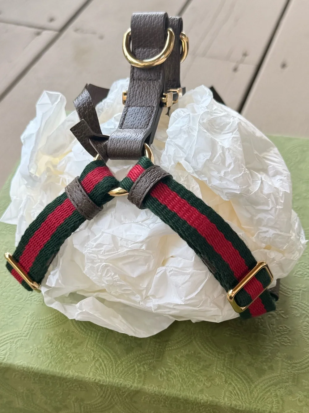 GUCCI Web Stripe S/M Faux Leather Dog Harness NEW